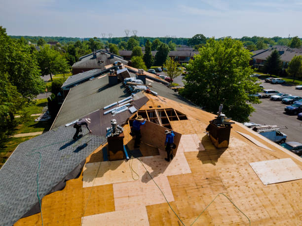 Best Flat Roof Repair Services  in Buxton, NC